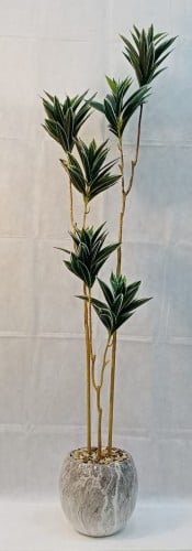 شجرة صبار مع مركن سيراميك ارتفاع 180 سم العرض 35 س...