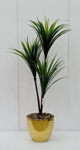 شجرة صبار مع مركن سيراميك ارتفاع 110سم العرض 40سم