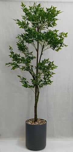 شجرة سنديان مع مركن فيبر الارتفاع 190 سم العرض 60...