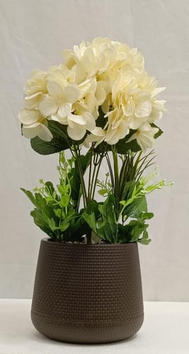 شجرة ورد مع حوض بلاستيك الارتفاع 50 سم العرض 25 سم