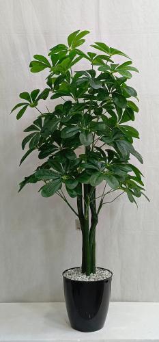 شجرة نجمة مع قاعدة بلاستيك الارتفاع 130 سم العرض 3...