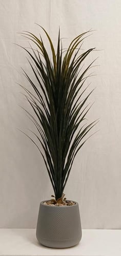 شجرة العنكبوت مع حوض بلاستيك الطول 130 سم العرض 40...