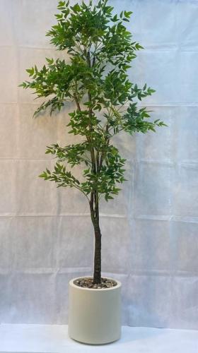 شجرة سنديان مع مركن فيبر الارتفاع 190 سم العرض 60...