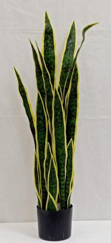 شجرة تايقر مع مركن ارتفاع 60 سم العرض 20 سم