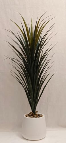 شجرة العنكبوت مع حوض بلاستيك الطول 130 سم العرض 40...