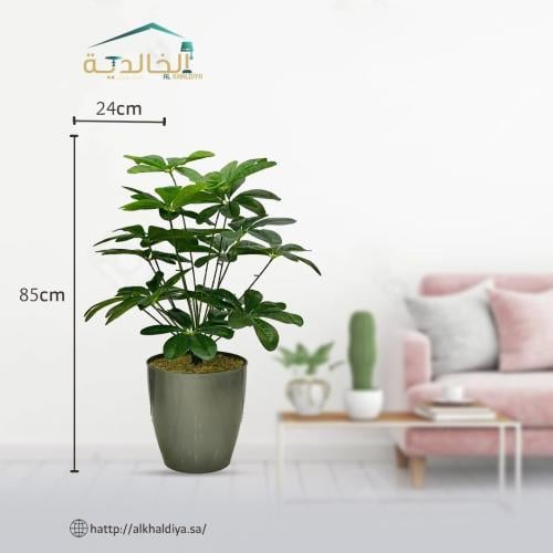 شجرة ورق نجمة مع قاعدة بلاستيك أرتفاع 85 سم