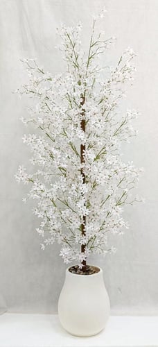 شجرة ورد مع مركن اصيص ارتفاع 170 سم العرض 50 سم