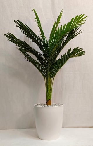 شجرة نخلة مع قاعدة بلاستيك ارتفاع 120 سم العرض 45...