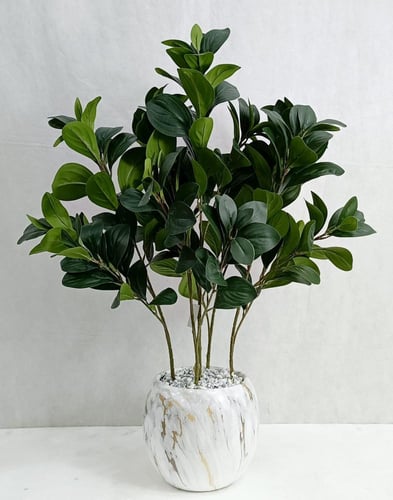 شجرة مانغوليه مع مركن سيراميك الارتفاع 70 سم العرض...