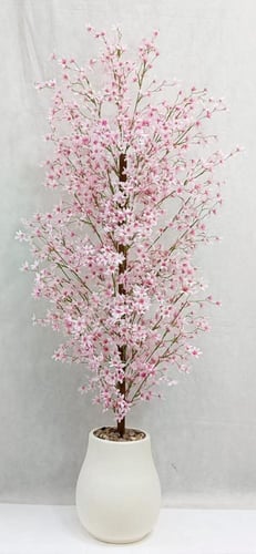 شجرة ورد مع مركن اصيص ارتفاع 170 سم العرض 50 سم