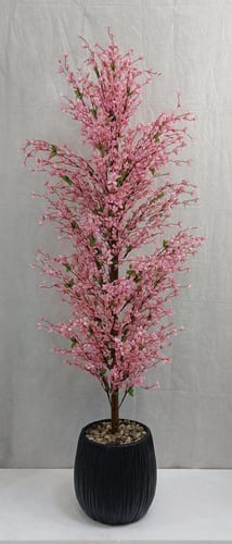 شجر ورد مع مركن اصيص ارتفاع 160 سم العرض 50 سم