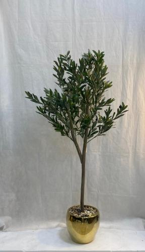 شجرة زيتون مع مركن سيراميك الارتفاع 150 سم العرض 7...