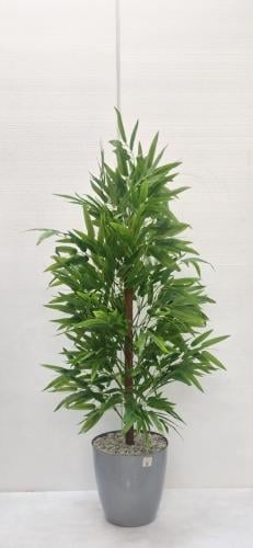 شجرة بامبوا مع قاعدة بلاستيك الارتفاع 120 سم العرض...