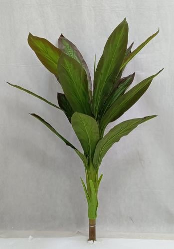 شجرة خام ارتفاع 115سم العرض 60سم