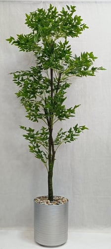 شجرة سنديان مع مركن فيبر الارتفاع 190 سم العرض 60...