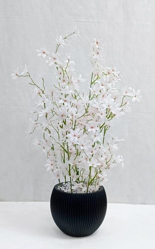 شجرة ورد مع مركن اصيص ارتفاع 65 سم العرض 20 سم