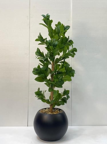 شجرة ورق شجر مع مركن اصيص ارتفاع 120 سم العرض 35 س...