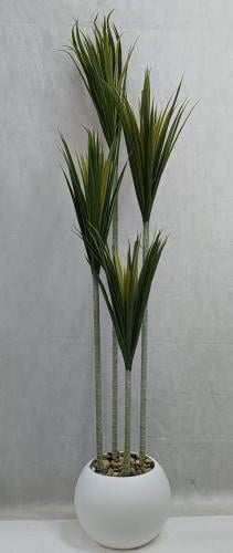 شجرة صبار مع مركن اصيص ارتفاع 175 سم العرض 35 سم