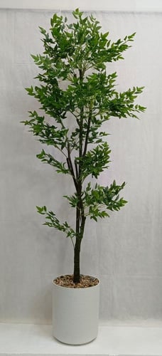 شجرة سنديان مع مركن فيبر الارتفاع 190 سم العرض 60...