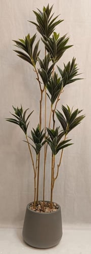 شجرة صبار مع حوض بلاستيك ارتفاع 180 سم العرض 40 سم