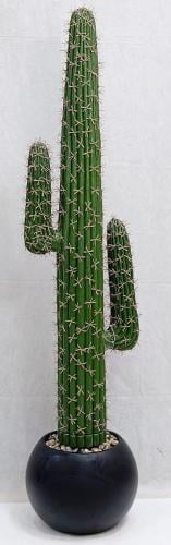 شجؤة صنوبر مع مركن اصيص الارتفاع 160 سم العرض 35 س...