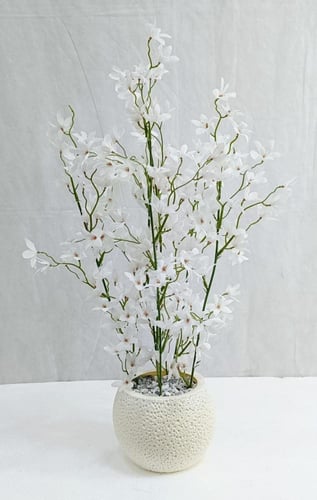 شجرة ورد مع مركن اصيص ارتفاع 65 سم العرض 20 سم