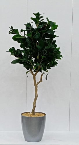 شجرة ورق شجر مع قاعدة بلاستيك ارتفاع 120 سم العرض...