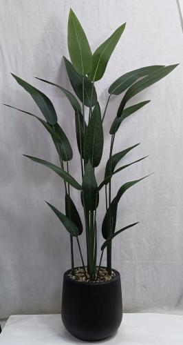 شجر مع مركن اصيص الارتفاع 195 سم العرض 60 سم