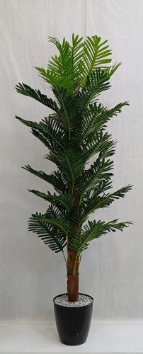 شجرة نخلة مع قاعدة بلاستيك الارتفاع 180 سم العرض 6...