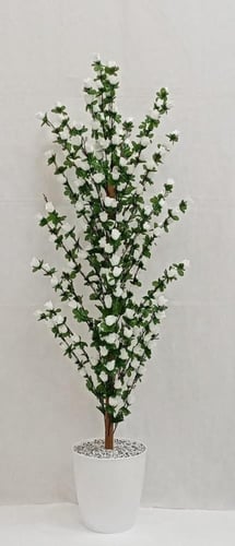 شجرة ورد مع قاعدة بلاستيك ارتفاع 155 سم العرض 40 س...