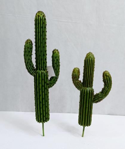 شجرة صبار شوك خام 2 فرع الارتفاع 50 سم العرض 25 سم