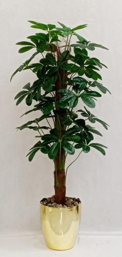 شجر نجمة قش ارتفاع 140 سم العرض 50سم