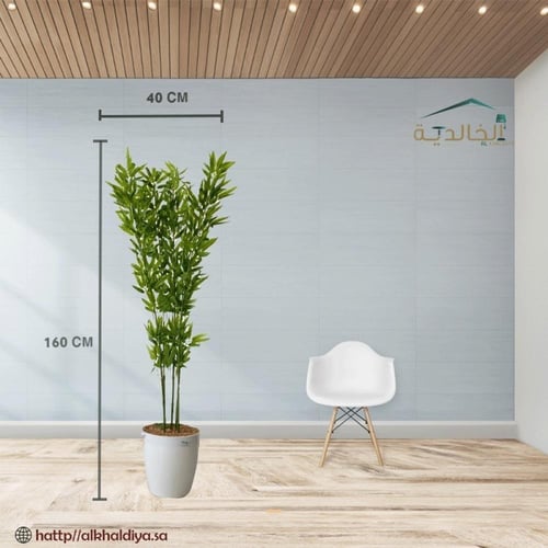 شجرة بامبوا مع قاعدة بلاستيك ارتفاع 140 سم العرض 4...