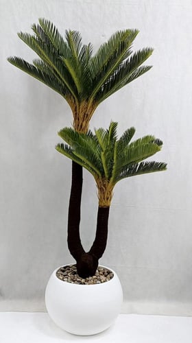 شجرة نخلة مع مركن اصيص الارتفاع 160 سم العرض 60 سم