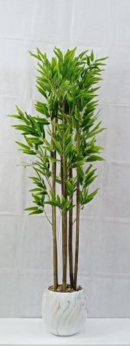 شجرة بامبو مع مركن سيراميك ارتفاع 170 سم العرض 50...