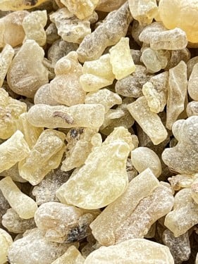 Omani frankincense, Hojari, male.