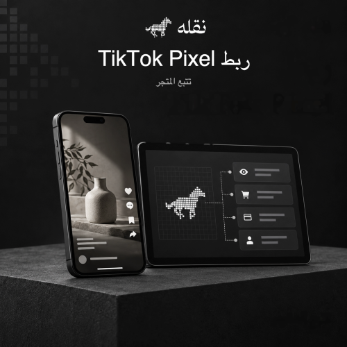 ربط TikTok Pixel بالمتجر