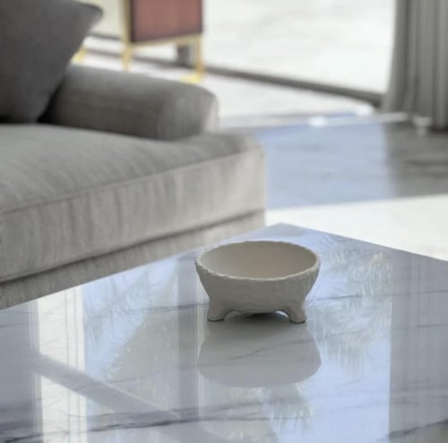 ستاند تقديم