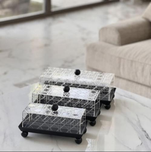 صينية تقديم