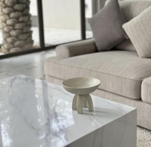 ستاند تقديم