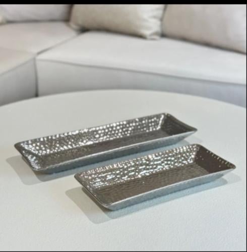 تقديمة سيراميك فضي