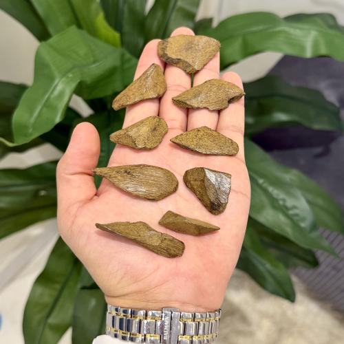 مروكي محسن ذهبي