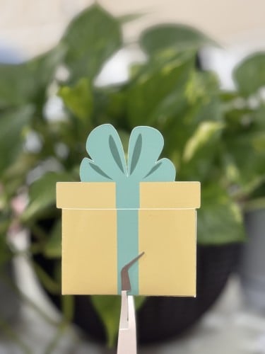 توزيعات العيدية على شكل علبة هدية (الحبة)