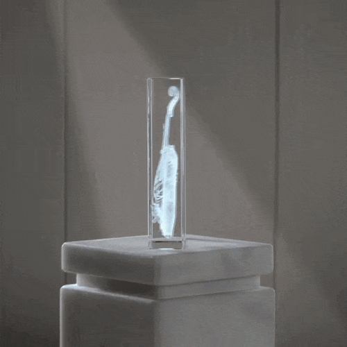 كريستال بتصميم الكمان وزهور الليلي بحفر 3D