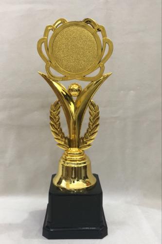 كلاس كاس ذهبي 23 سم