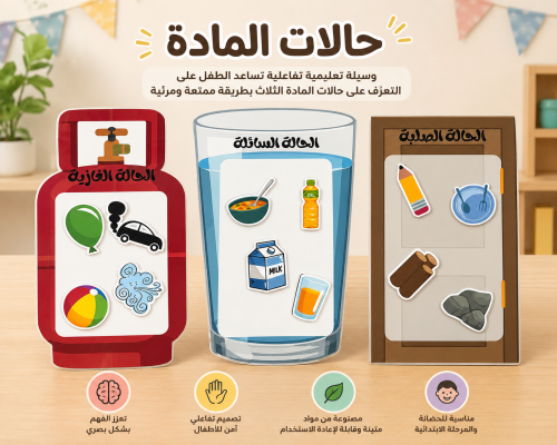 حالات المادة | نشاط تعليمي تفاعلي