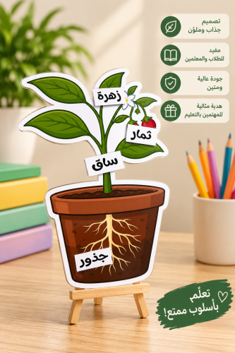 وسيلة تعليمية تفاعلية – أجزاء النبات