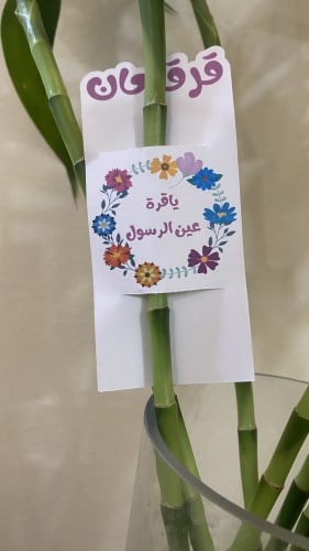 كروت طباعه لساق البامبو