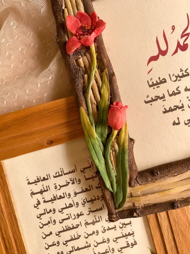 مجموعة براويز - توليب