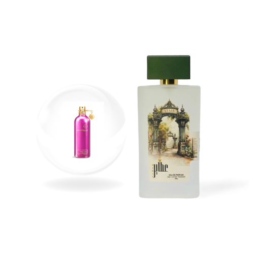 MR-14 مونتال روز